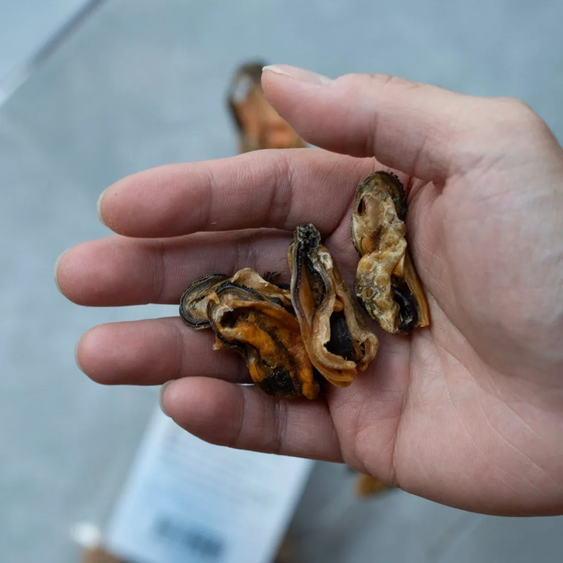 Air-Dried Green Lipped Mussel ( Natural Training Treats )