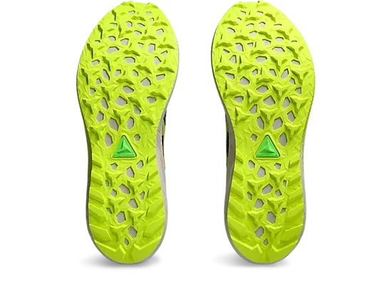 Asics Fuji Lite 5 Shoes (Men's)