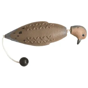Avery EZ Bird Mourning Dove