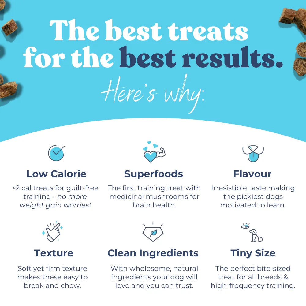 Beef Mini Training Treats