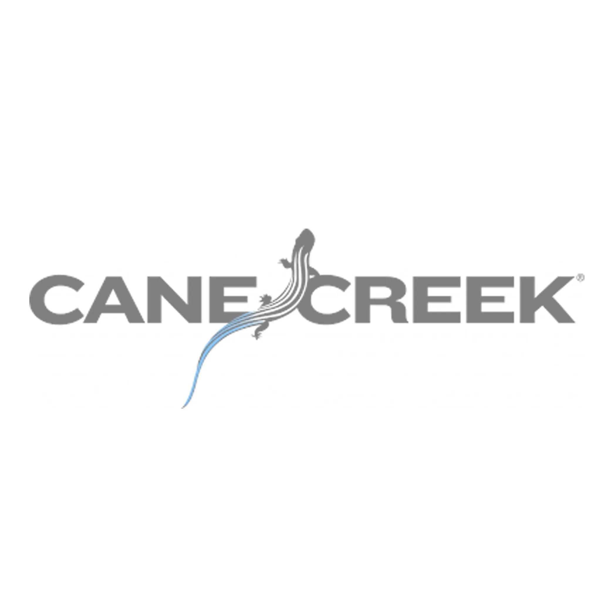 Cane Creek VALT Progressive Coil Springs