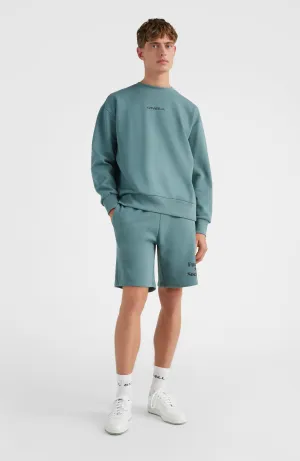 Future Surf Jogging-Shorts | North Atlantic