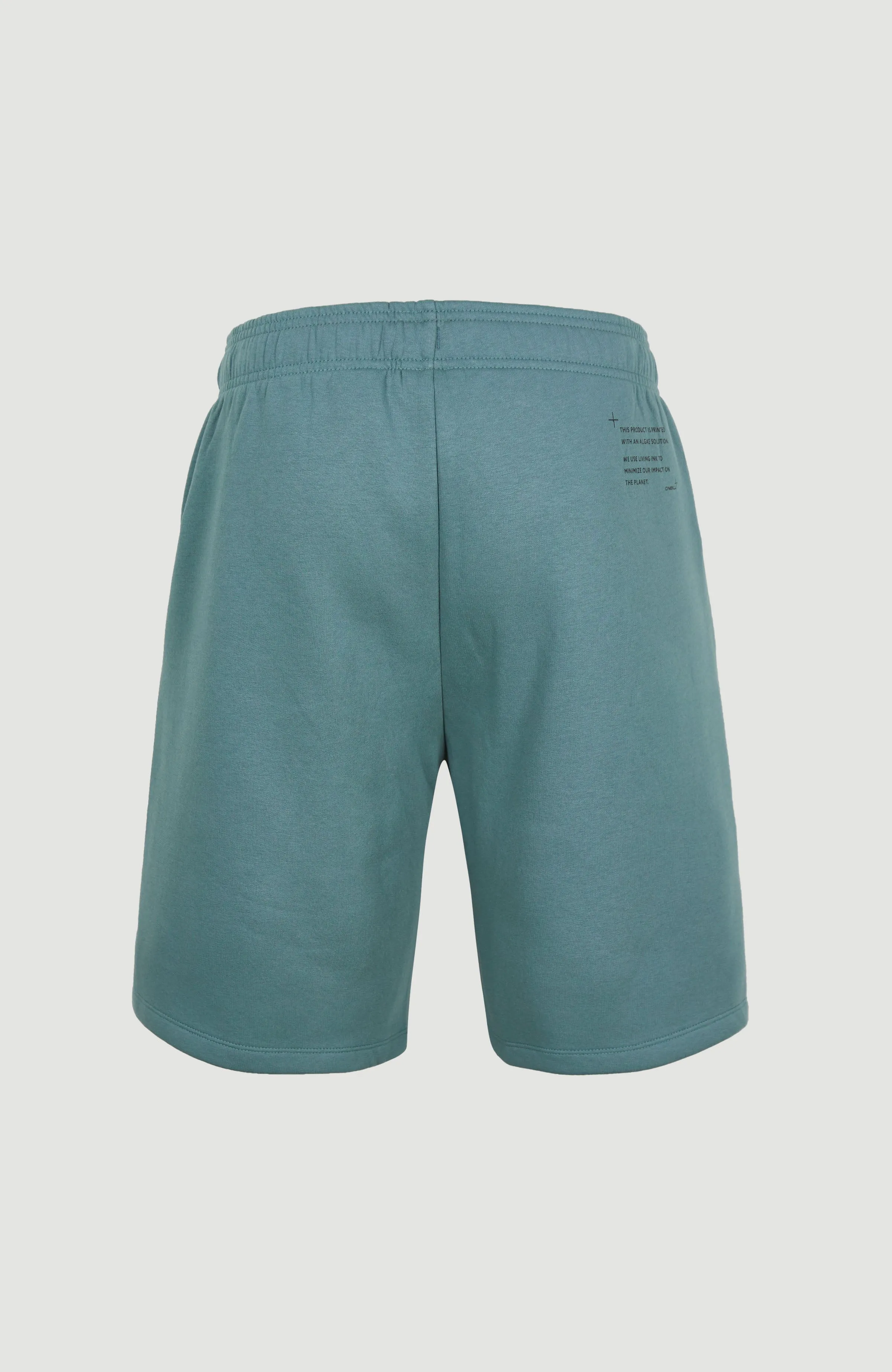 Future Surf Jogging-Shorts | North Atlantic