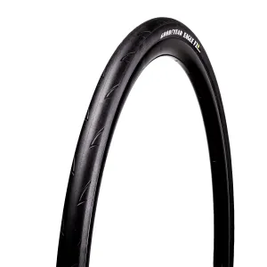 GOODYEAR Eagle F1 R Tire - Black