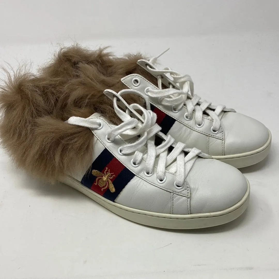 Gucci Fur Lined White leather Bumblebee Sneaker