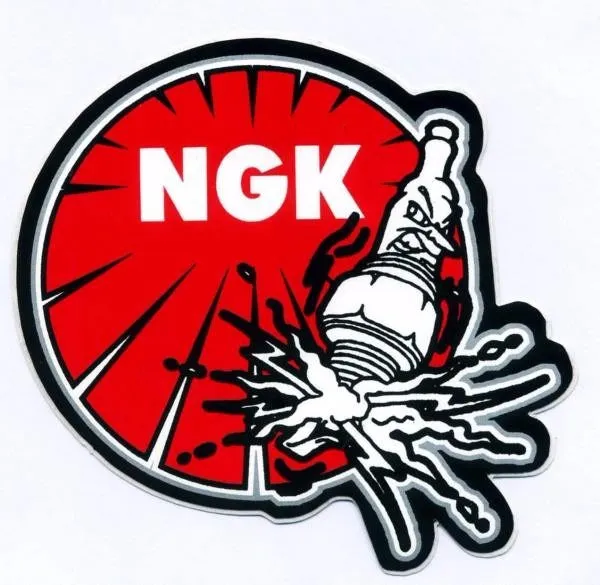 IRIWAY8 NGK IRIDIUM Racing Spark Plugs    -   4882   -   Fast Tracked Shipping
