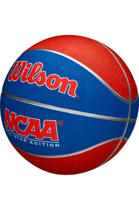 Wilson Mini Basketball
